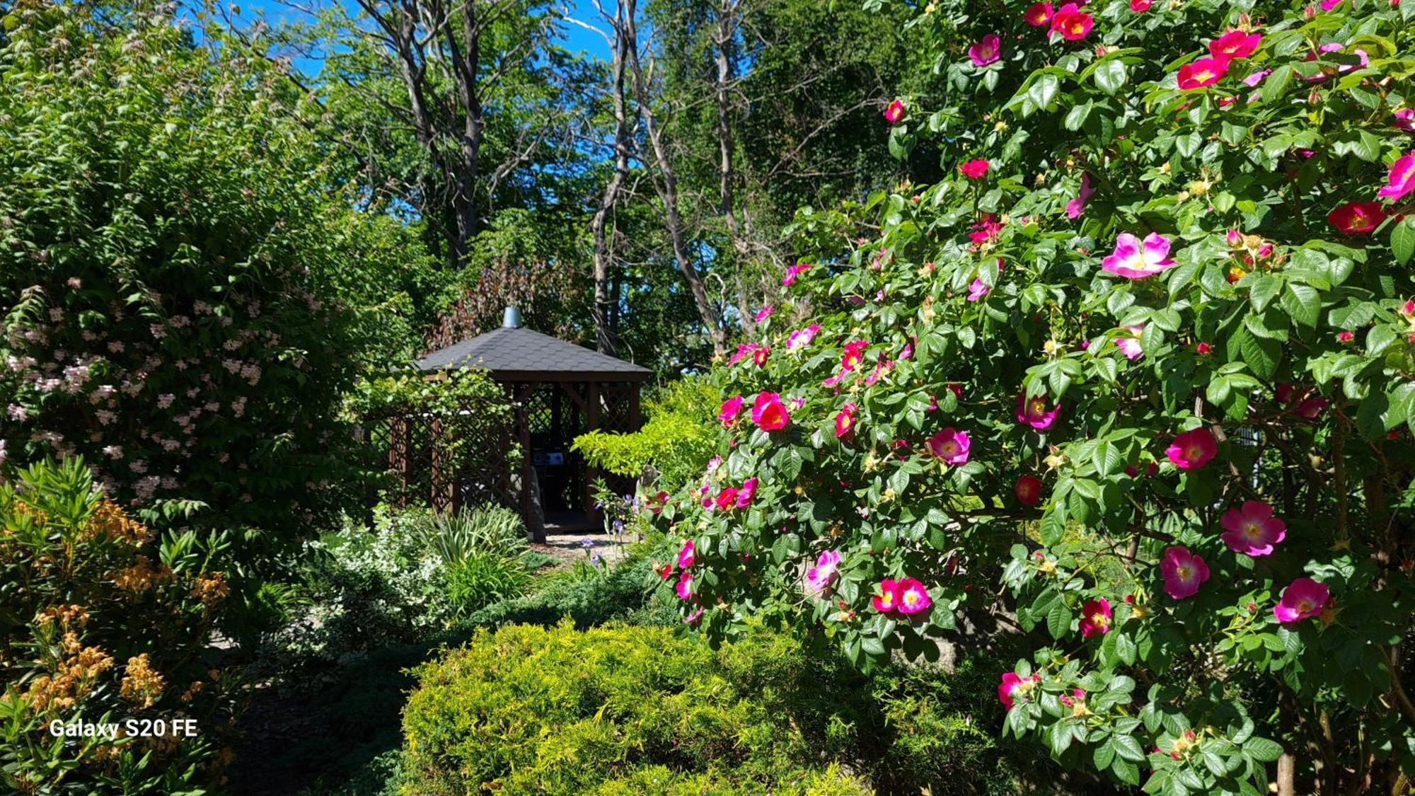 Dom Na Bukowym Wzgorzu Bed and Breakfast Wicko  Εξωτερικό φωτογραφία